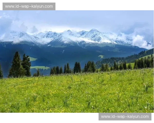 鹰击长空对决狼啸深林：亚特兰大与明尼苏达的“冰火之歌”