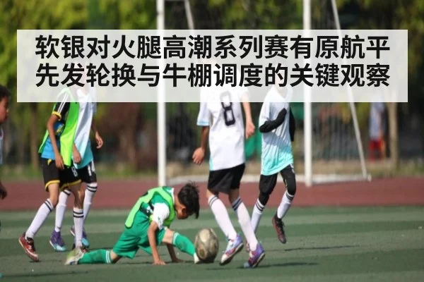 软银对火腿高潮系列赛有原航平先发轮换与牛棚调度的关键观察